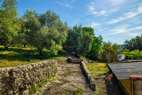 Villa i Beniganim, Valencia, Beniganim - € 72.000 | Ref: PNVL2173 - foto 18
